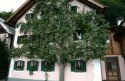 MARIAZELL - SALZBURG - HALLSTATT    